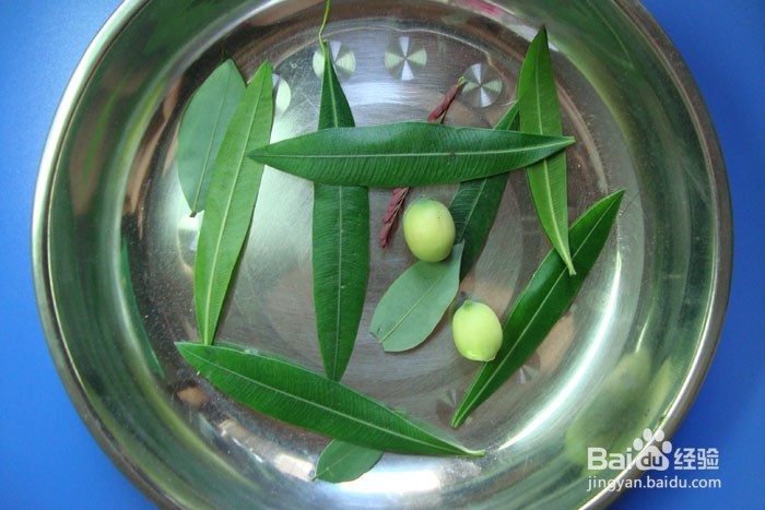 植物拼装画之吹口哨的牧童