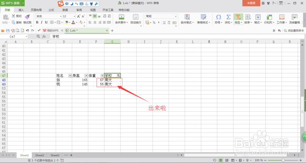 EXCEL中怎么使用筛选功能？