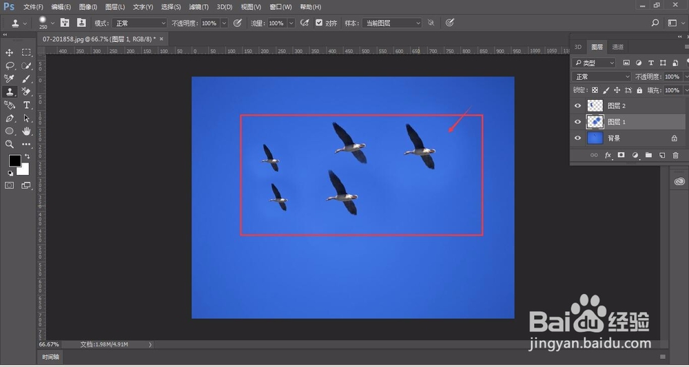 PS中仿制图章的使用技巧