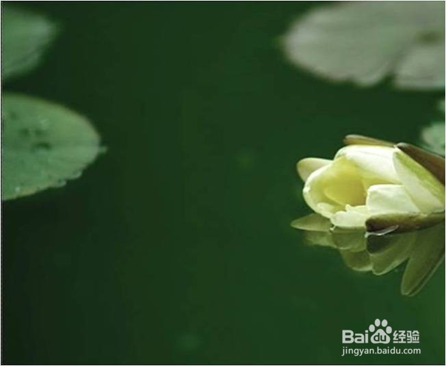 解析函数y=√(19-2x)的单调和凸凹等性质