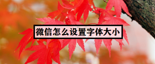 e86ba4b842406afe6c72b9731eee41c1b6279ffc.jpg?x-bce-process=image%2Fresize%2Cm_lfit%2Cw_500%2Climit_1