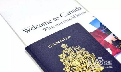 多伦多生子攻略之怎么给宝宝换护照？