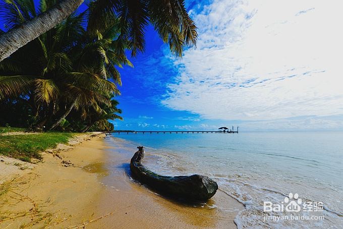 马达加斯加怎么玩