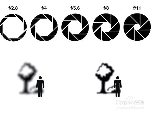 初入单反怎样调整曝光度?