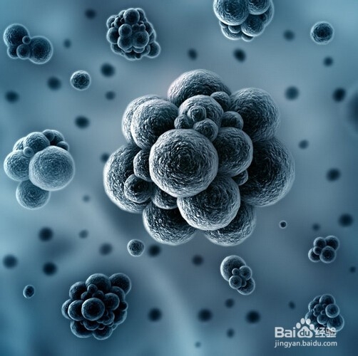 雾霾对人体健康的危害有哪些？