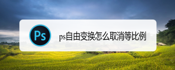 ps自由变换怎么取消等比例