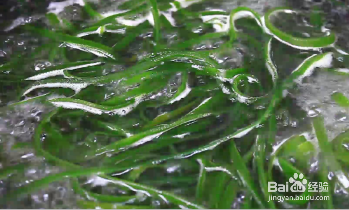 凉拌海带好吃有窍门