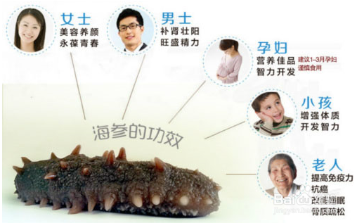 夏季一天吃多少海参合适，科学合理搭配是关键