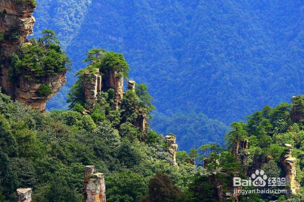 如何安排张家界和凤凰古城的7天游呢？