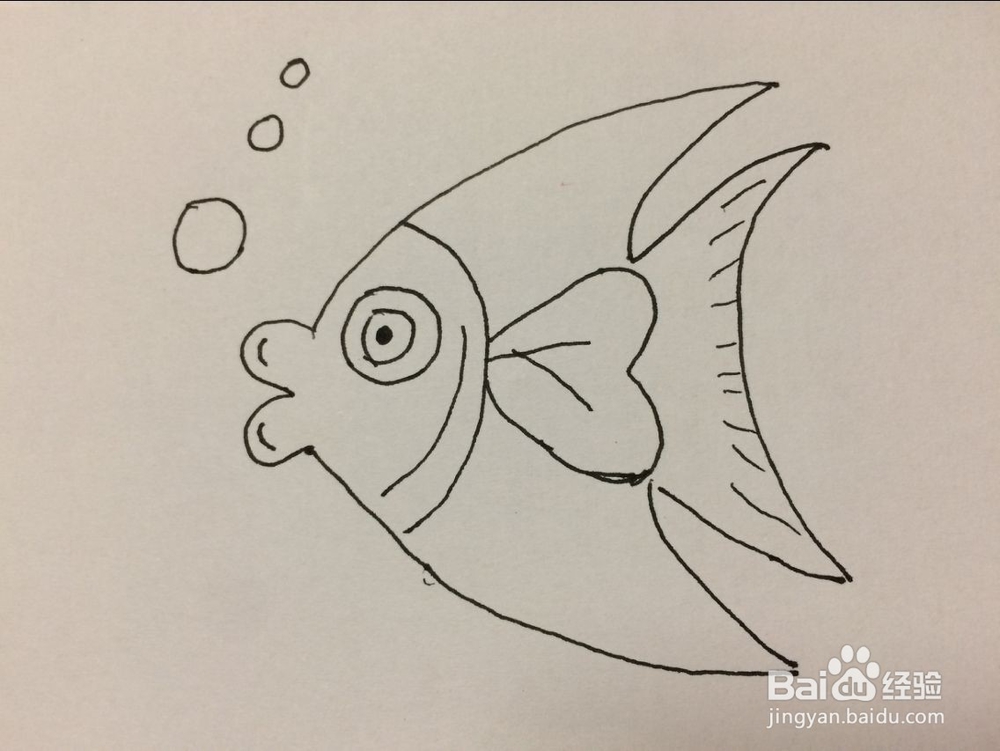 儿童热带鱼的简单画法