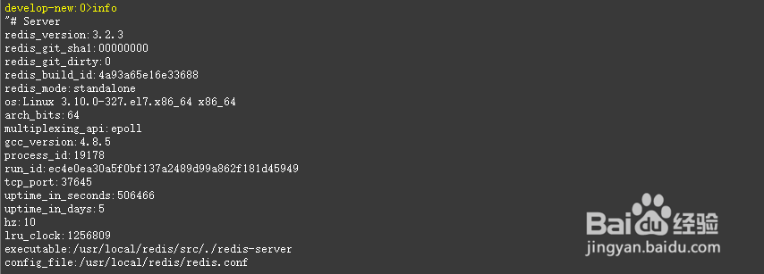 Redis Info 的详细介绍