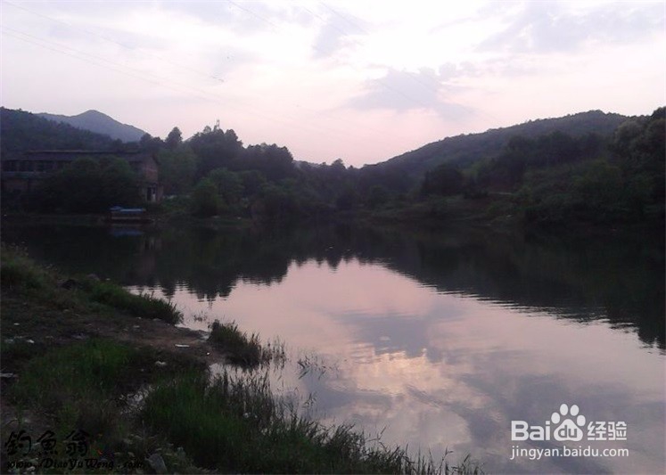 新手钓鱼容易犯的五个错误