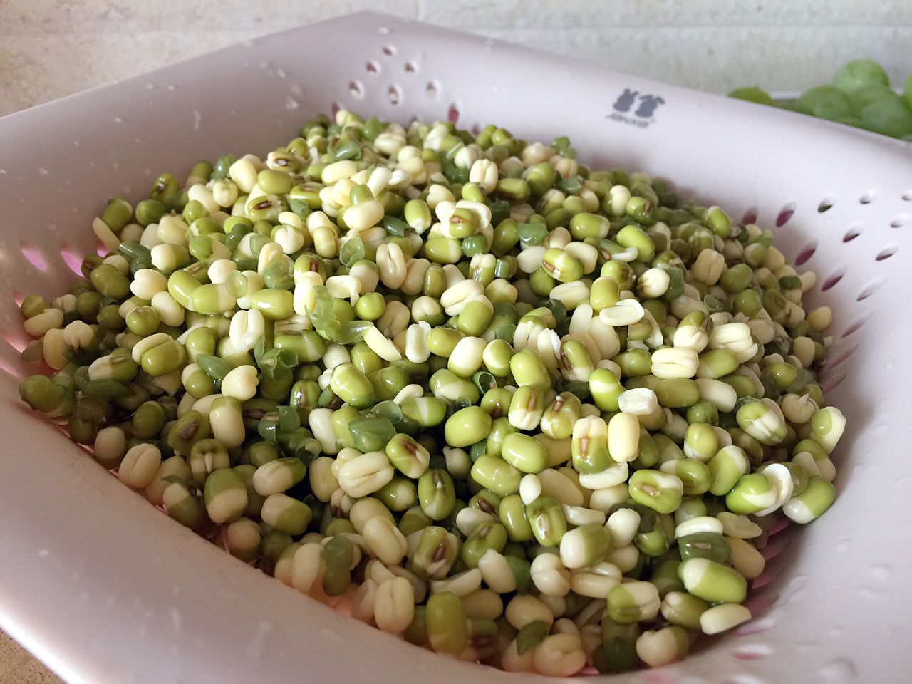 怎么做绿豆菓子，看完这个你就学会了