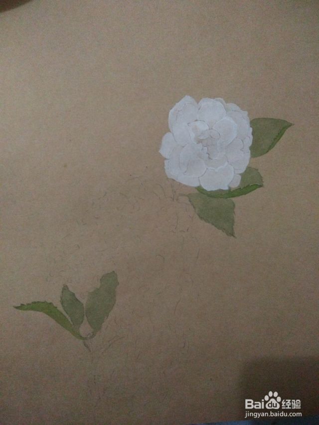 如何用卡纸画白山茶-（白山茶怎么画）[图]