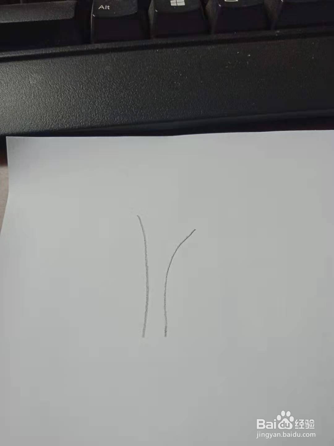 大树的创意简笔画