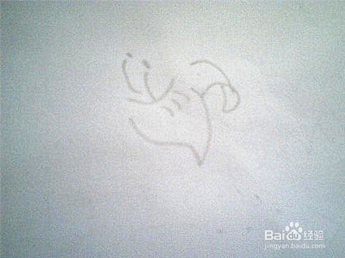 简笔画百合花怎样画