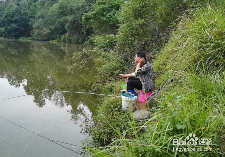 野钓怎样找好钓点?野钓如何钓到更多的鱼?