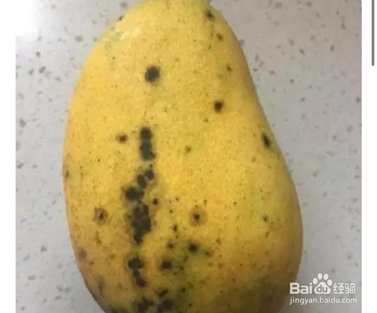 怎么判断芒果坏了