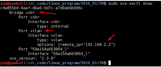 Docker+OpenvSwitch走进VxLAN的世界