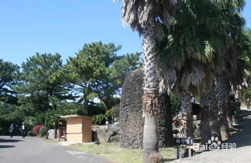 恋恋济州岛旅游攻略