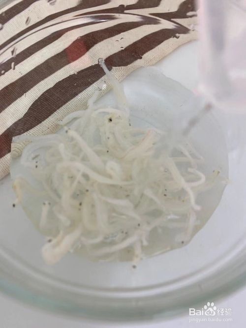 怎么做银鱼秋葵煎蛋 百度经验