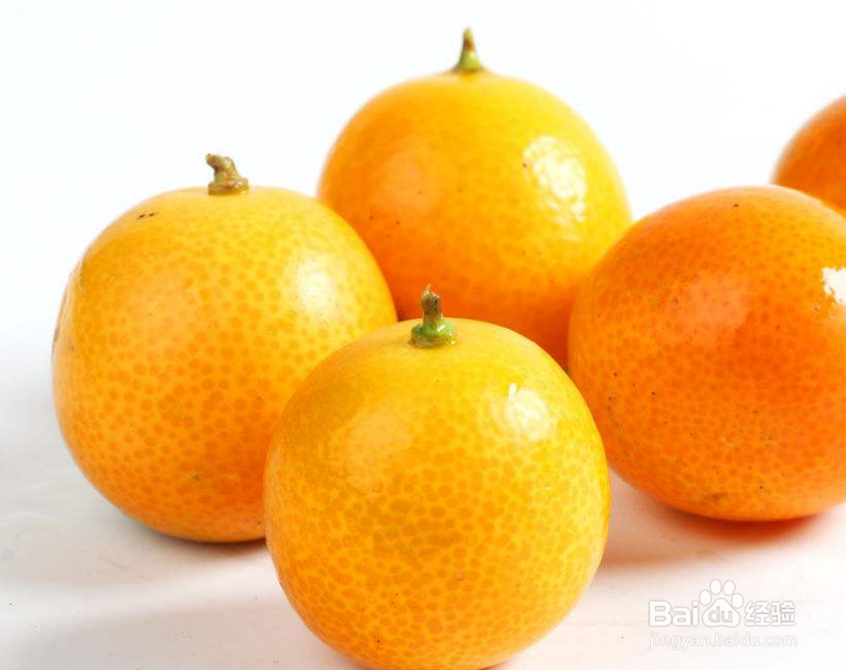 金桔怎么栽培