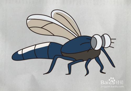 如何画食虫牤简笔画