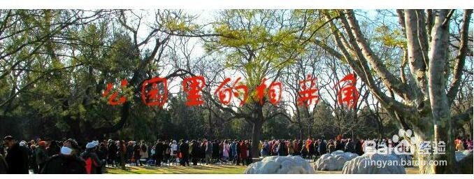 单身狗们五一小长假怎么过？