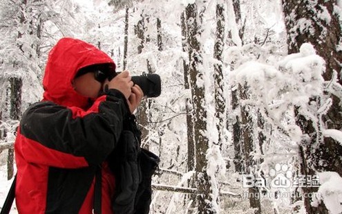 四川西岭雪山自助游攻略