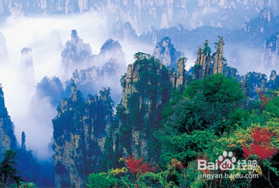 成都到张家界自驾游攻略