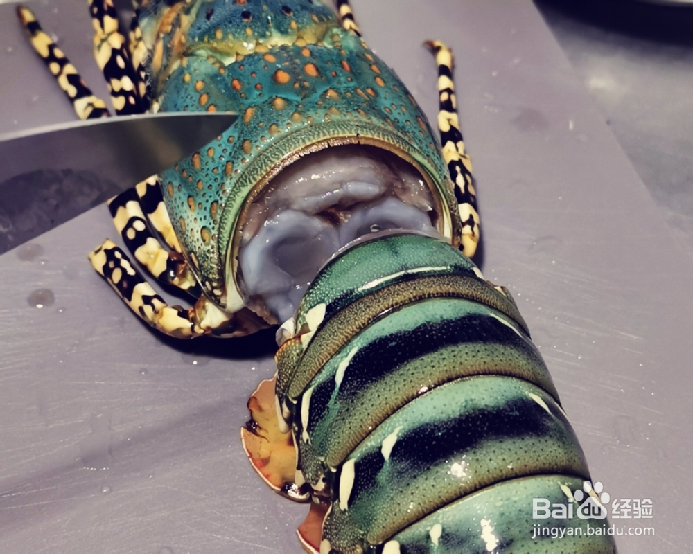 详细教你做葱姜澳洲龙虾