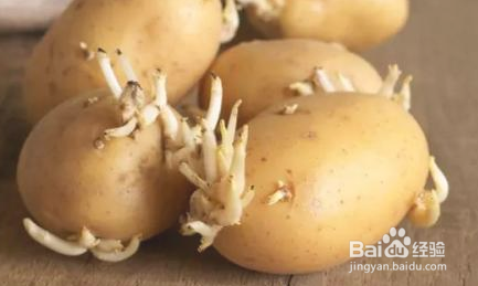 吃了会中毒的食物