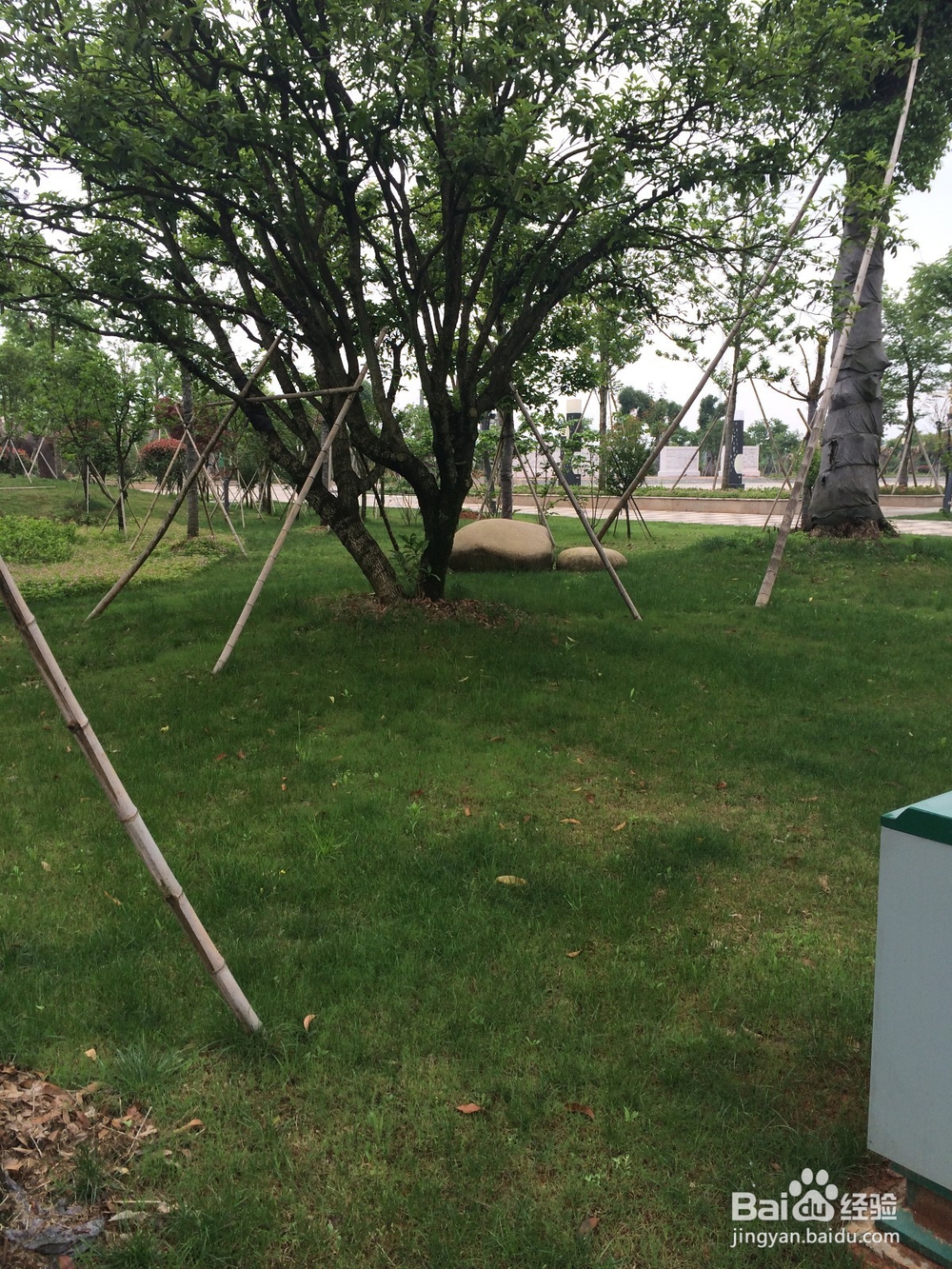 买车之前考虑的事