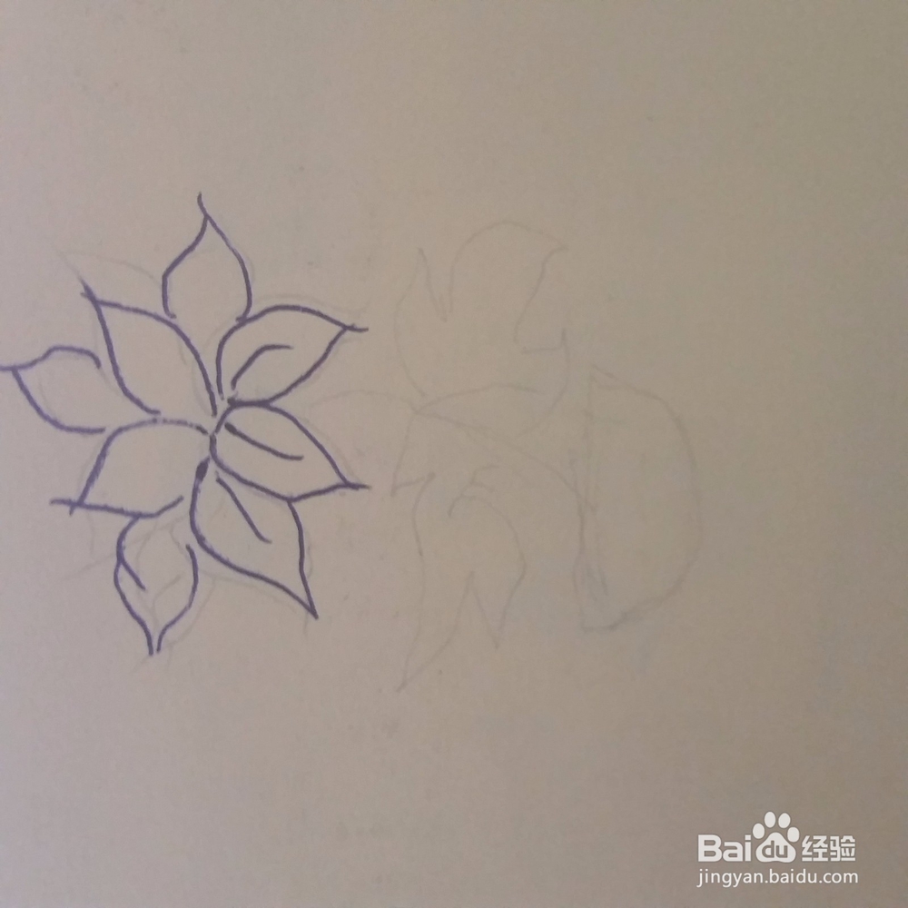 仙客来小盆栽简笔画