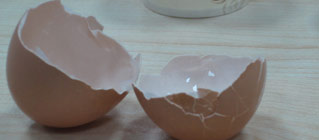 教你用牙签选购好鸡蛋