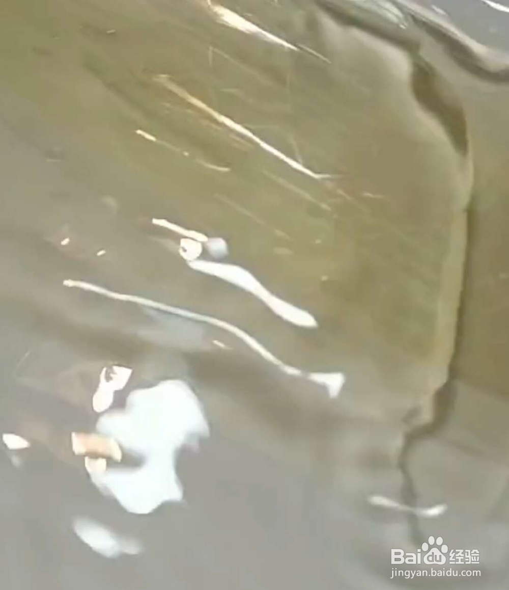 草莓牛奶冻的制作方法及步骤图示