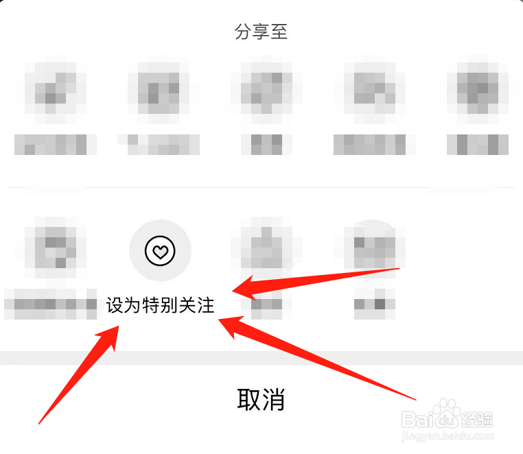 绿洲怎么设置特别关注?
