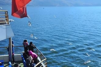 昆明大理丽江路线大全