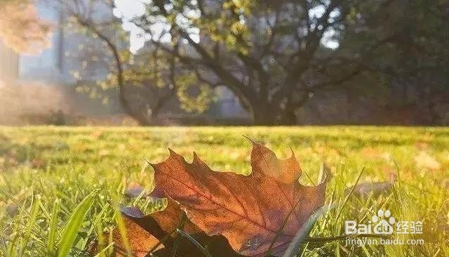 手机摄影的5种光线运用技巧