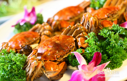 哪些食物不能放在一起吃