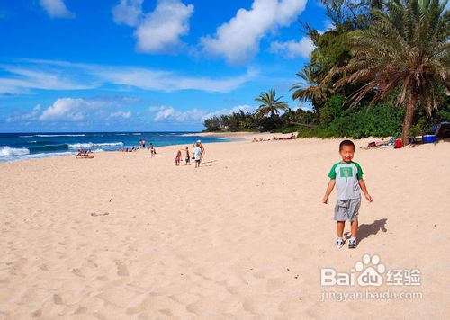 【夏日海边游】夏威夷旅游攻略
