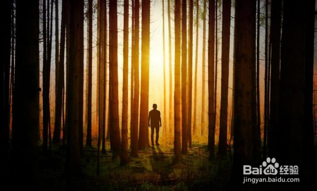 摄影时怎么能拍出来“透亮”的片子？