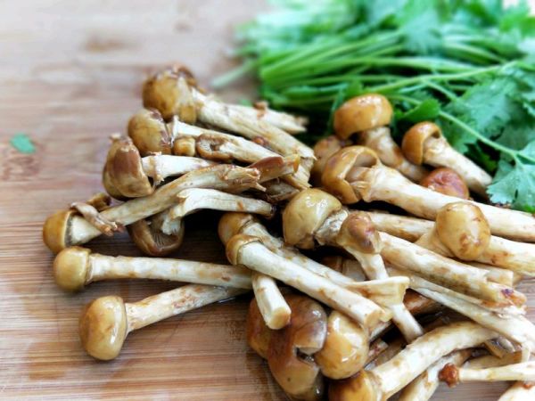 滑子菇香菜炒蛋