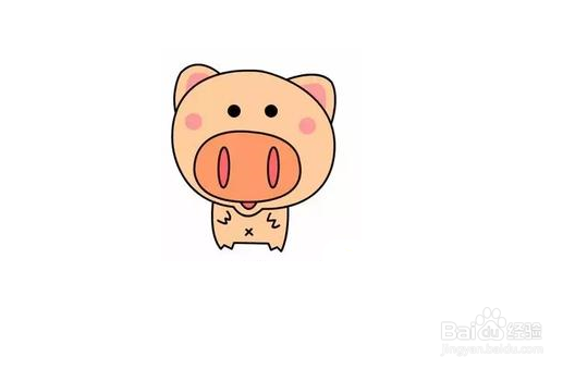 小猪的简笔画分步画法