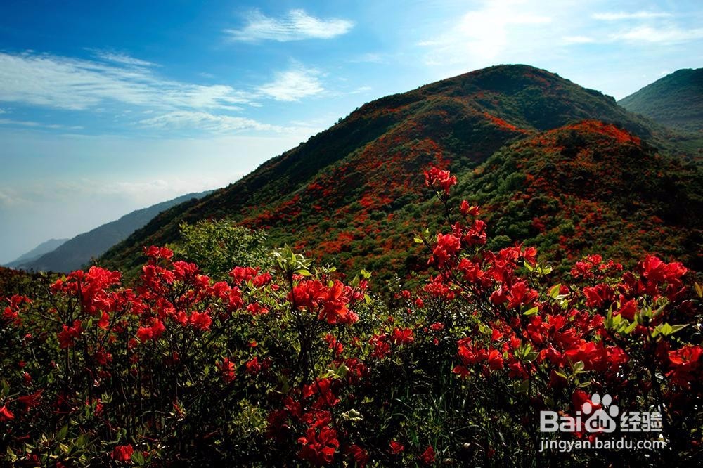 除了凤凰古城和张家界,不一样的湖南美景