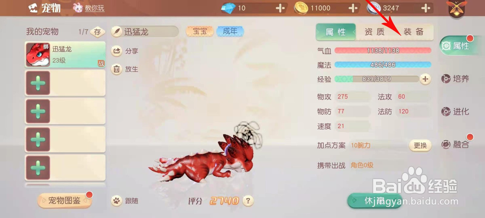 梦想新大陆宠物装备怎么获得