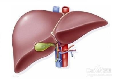 7种超级健康的高胆固醇食品