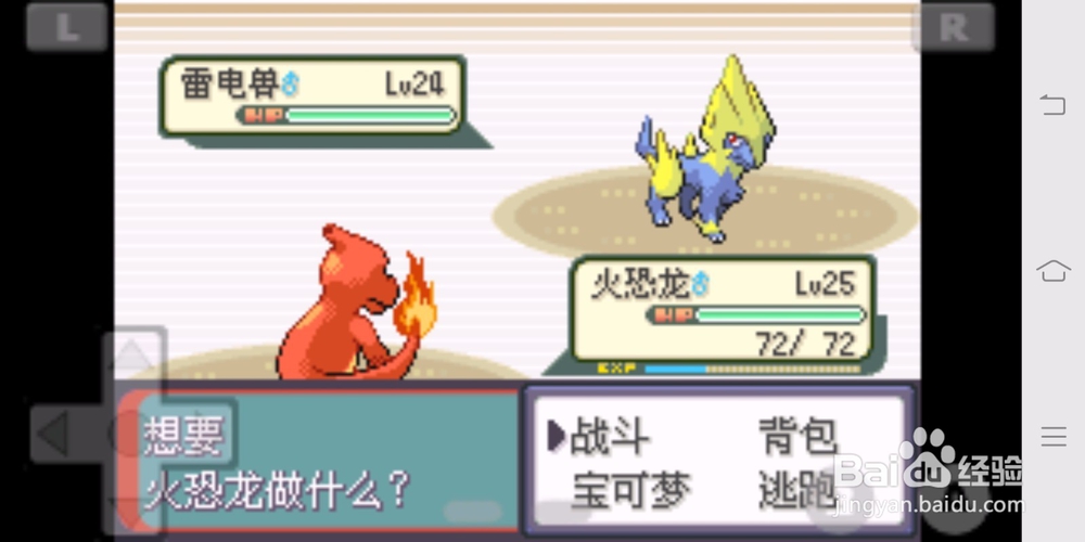宝可梦绿宝石紫堇市道馆攻略