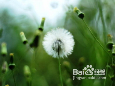 5种极简风格拍摄技巧