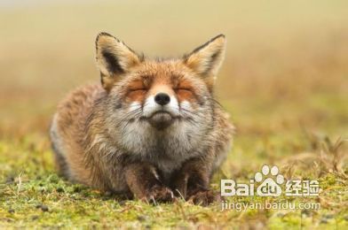 4个提高摄影水平的建议